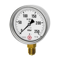Kapselfedermanometer, G 1/2 radial unten, 0 - 250 mbar, Ø 100